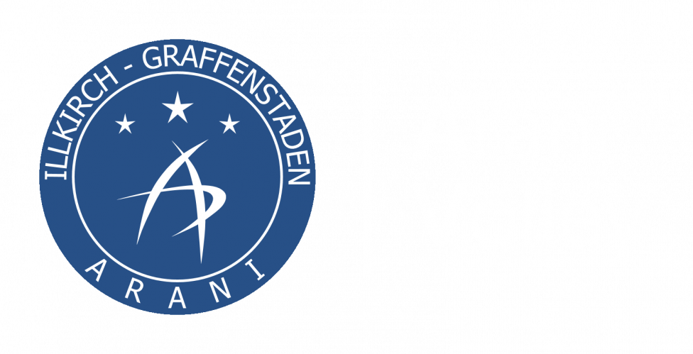 Logo Arani Volley